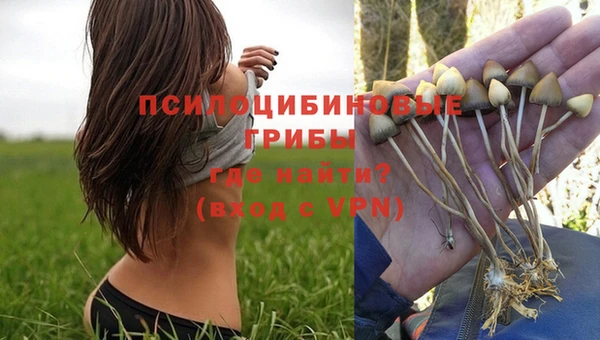 кокаин колумбия Алексин