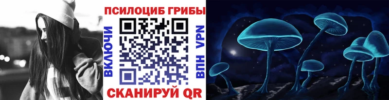 Галлюциногенные грибы Psilocybe маркетплейс состав Канск