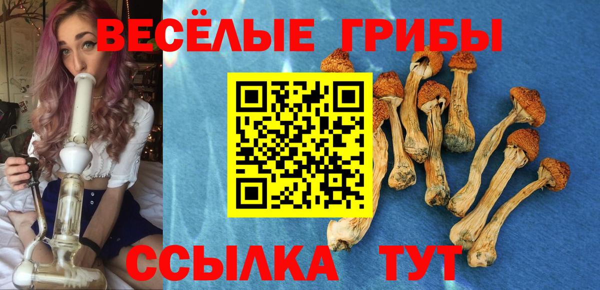 Канск  Псилоцибиновые грибы GOLDEN TEACHER  Вход с VPN 